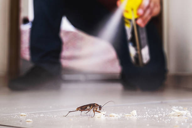 Best Affordable Pest Control Services  in West Ack, NY