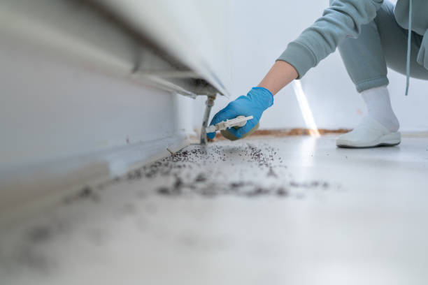Best Pest Control Near Me in West Nyack, NY